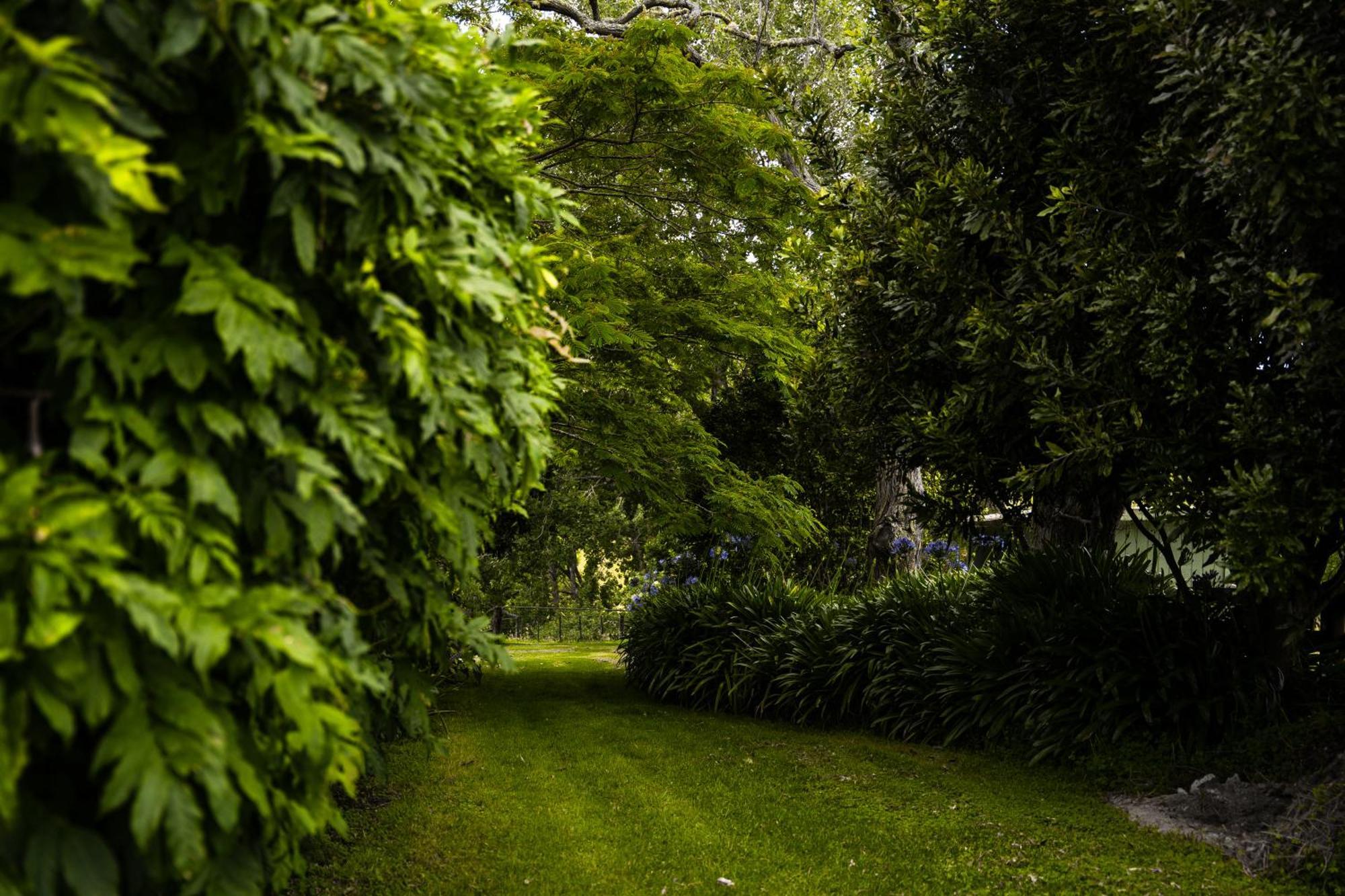 Forest Waters Haruru Exterior foto